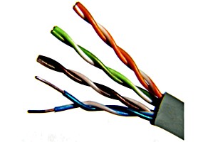 foto van product UTP kabel cat 6 netwerkkabel per meter